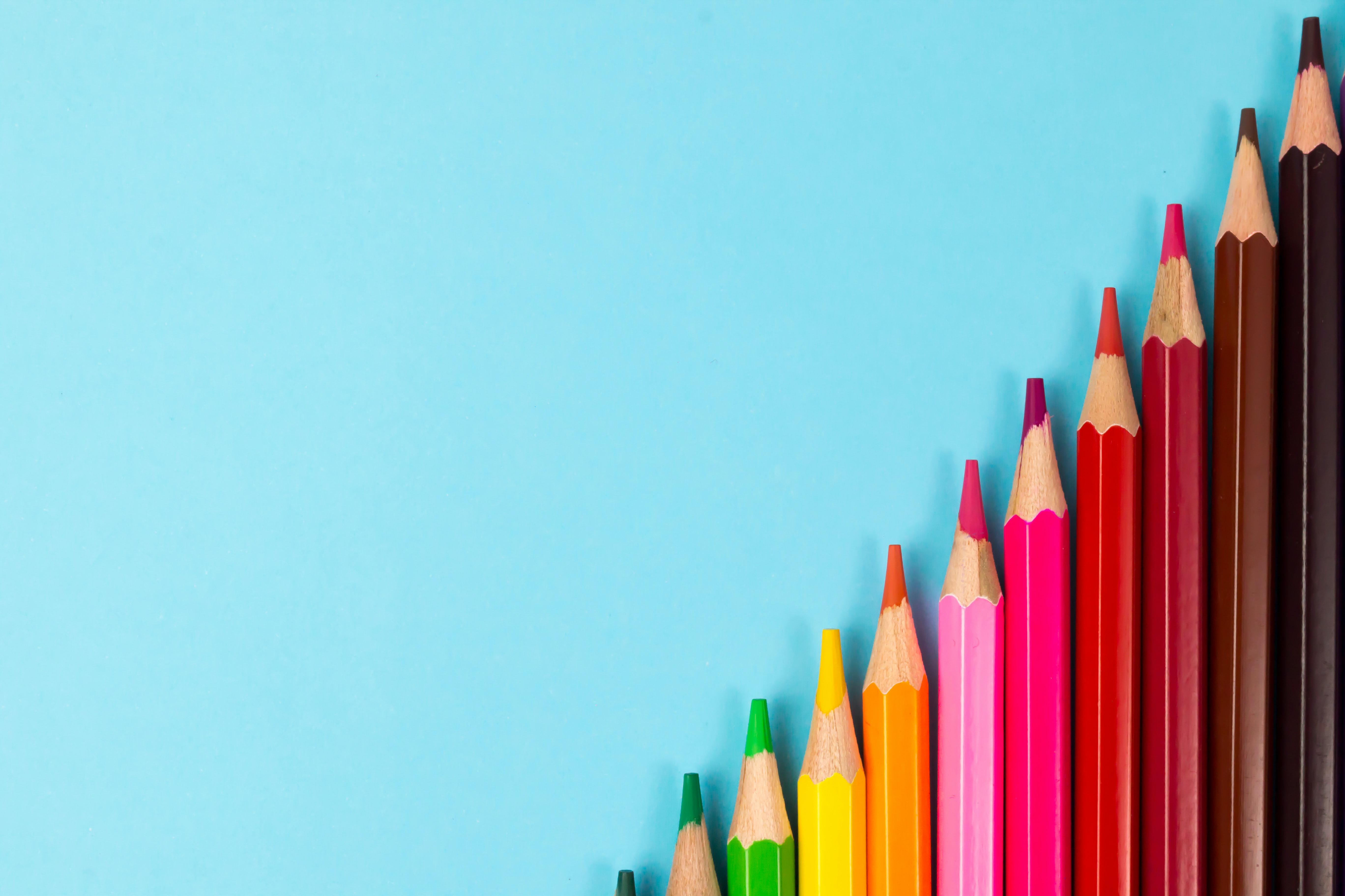 Best Vector Design Tools