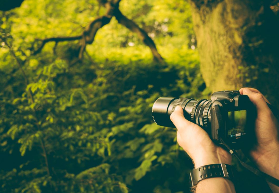 What is the difference between JPEG and DNG?