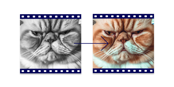 Colorize B&W Videos